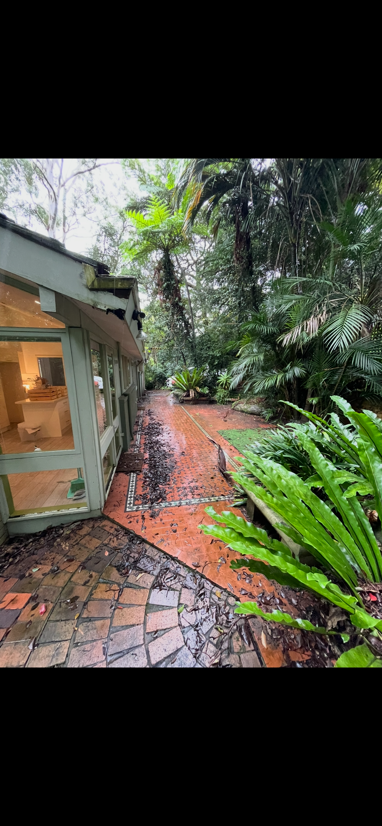 Outdoor walkway before pressure washing