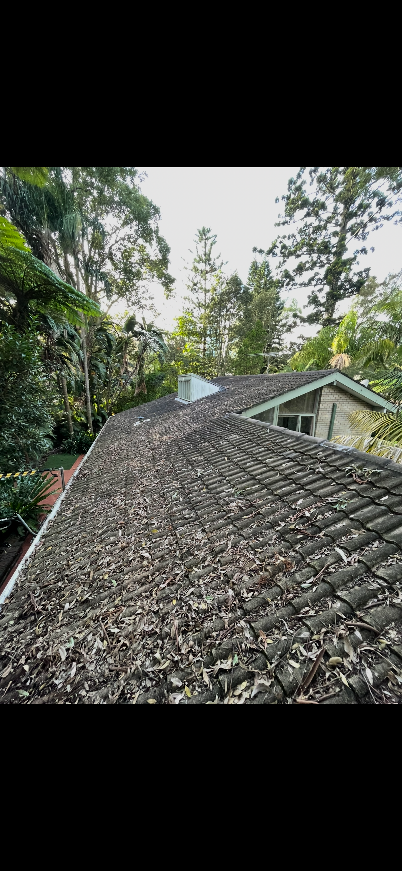 Roof before soft wash